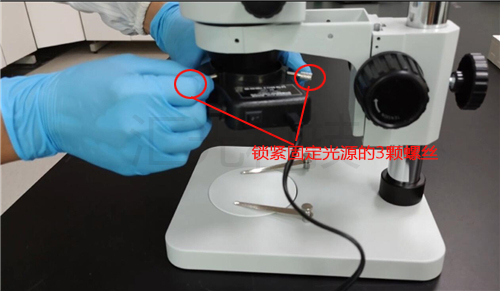 安裝三目體視顯微鏡光源