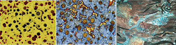 湖北金相顯微鏡應(yīng)用之金相組織分析