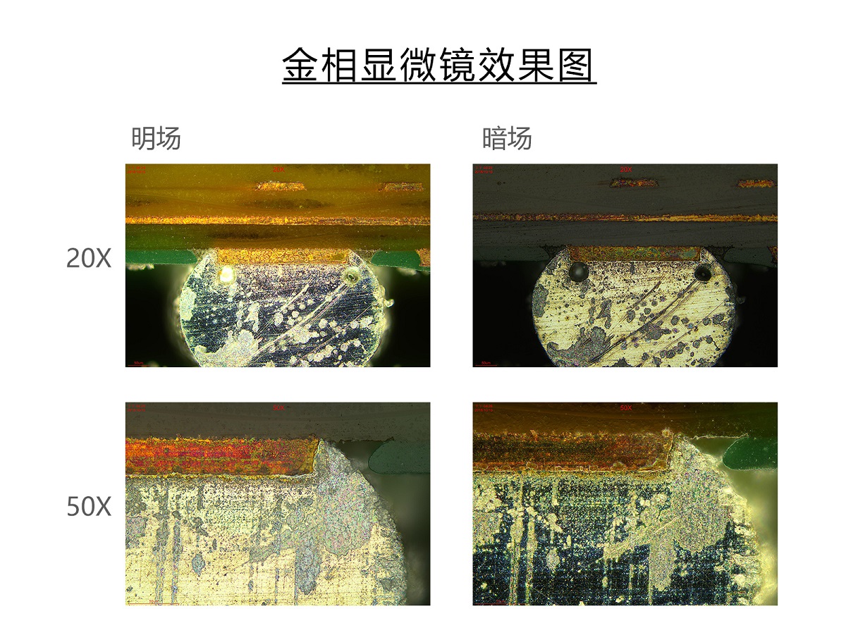 奧林巴斯20x50x明場暗場效果圖2.jpg